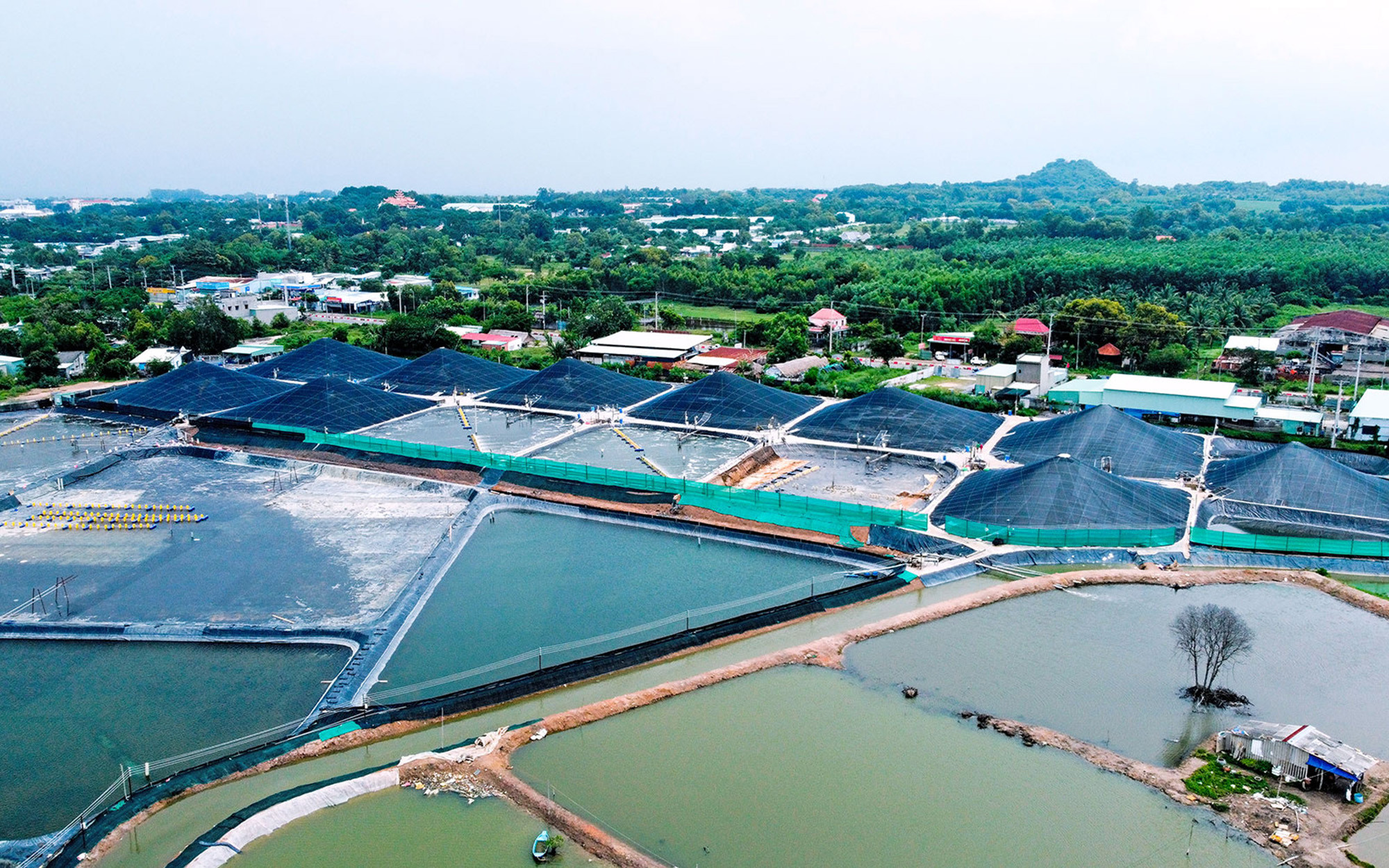 Bà Rịa-Vũng Tàu: Phát triển kinh tế bền vững gắn bảo vệ môi trường