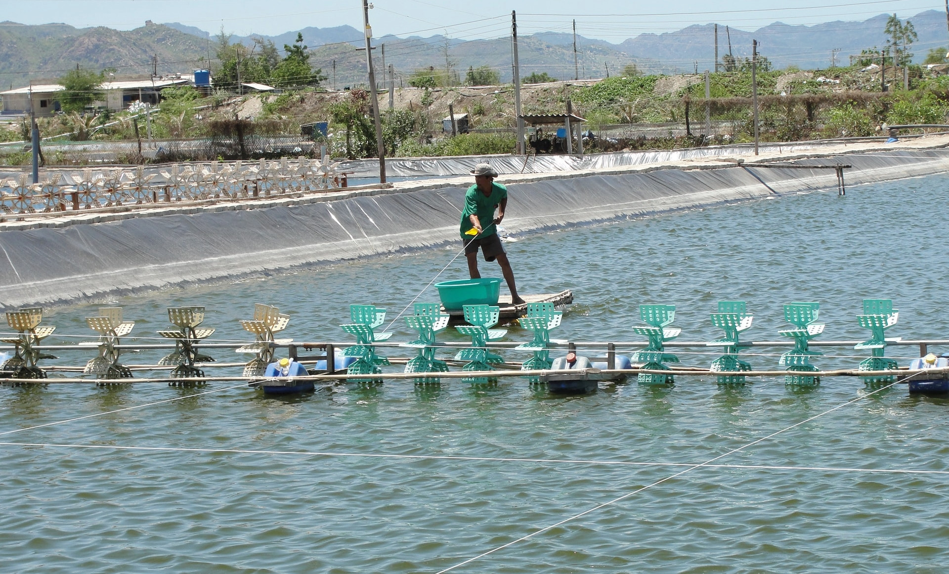 Ngành thủy sản và chăn nuôi ‘căng mình’ với kinh tế xanh