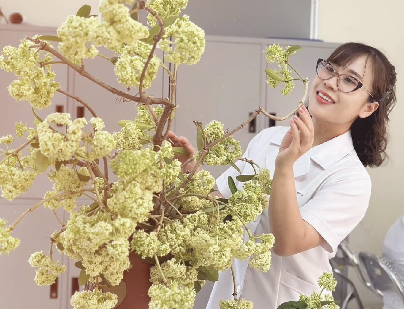 Thử cắm hoa sữa ở văn phòng, cô gái Hà Nội khiến đồng nghiệp 'sang chấn tâm lý'