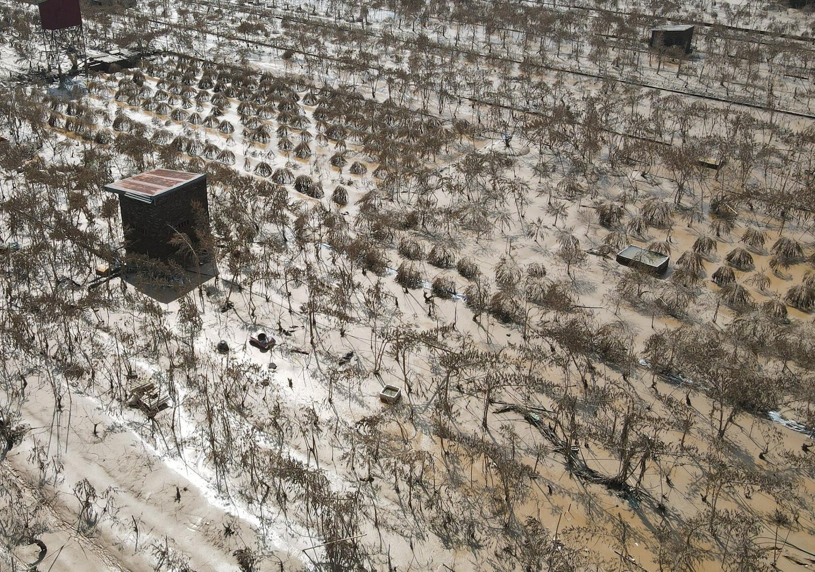 Cử tri Hà Nội kiến nghị nâng mức hỗ trợ cho người dân bị thiệt hại do thiên tai