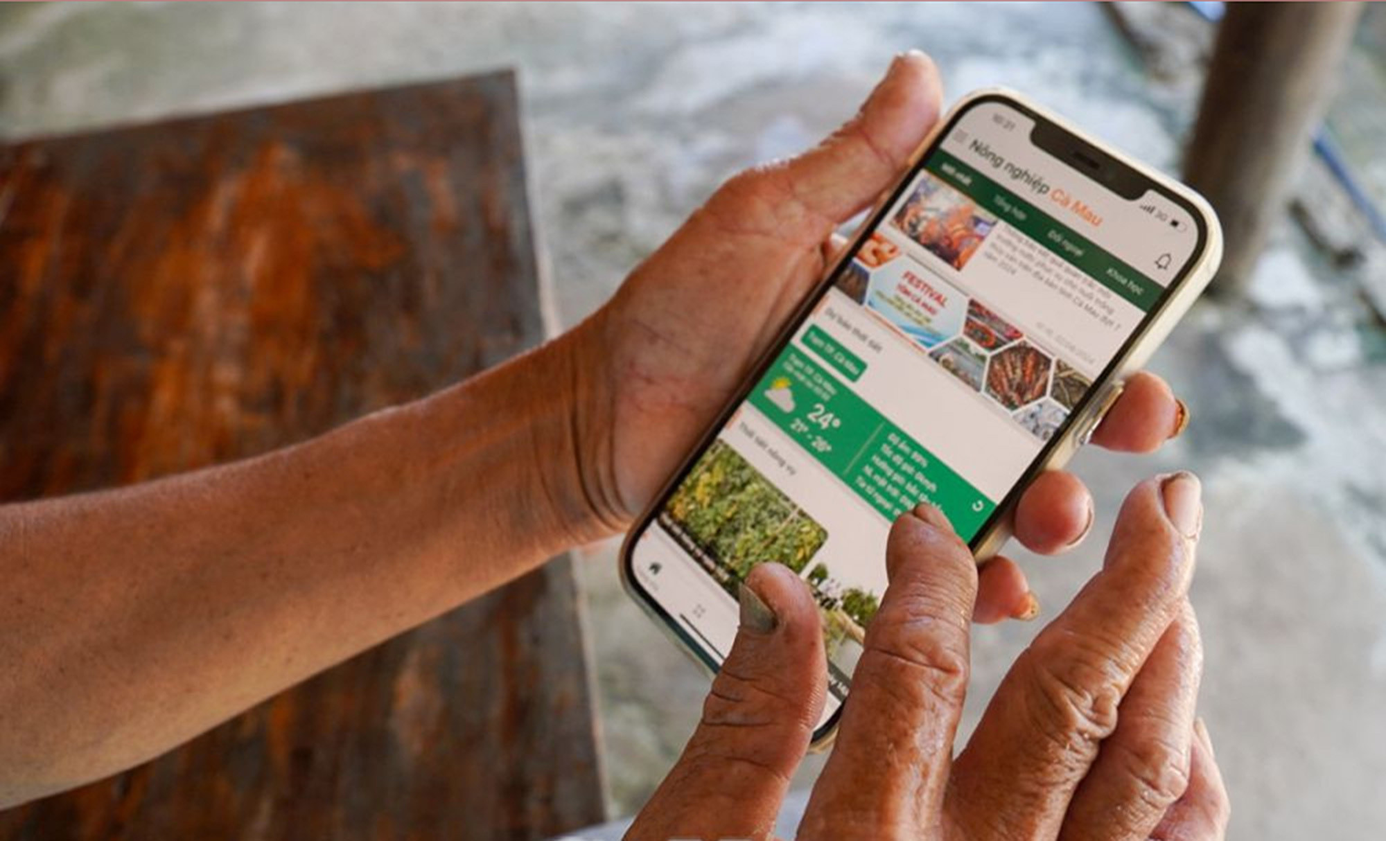 Phần mềm Nông nghiệp Cà Mau: Công cụ hỗ trợ hiệu quả cho nông dân