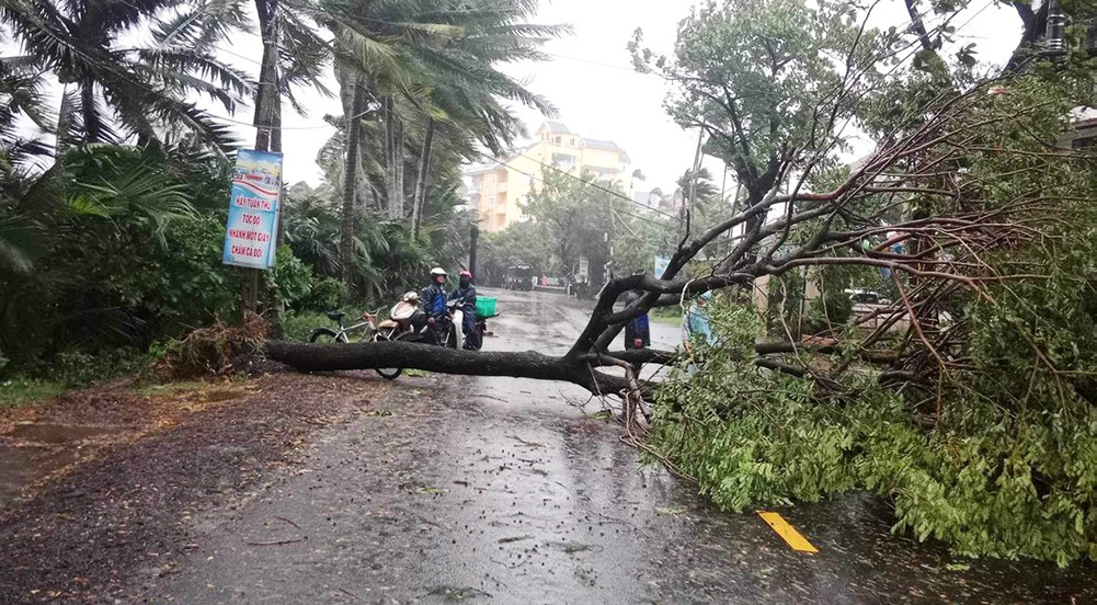 Bão số 6 trên vùng biển Quảng Trị đến Quảng Nam, diễn biến rất phức tạp