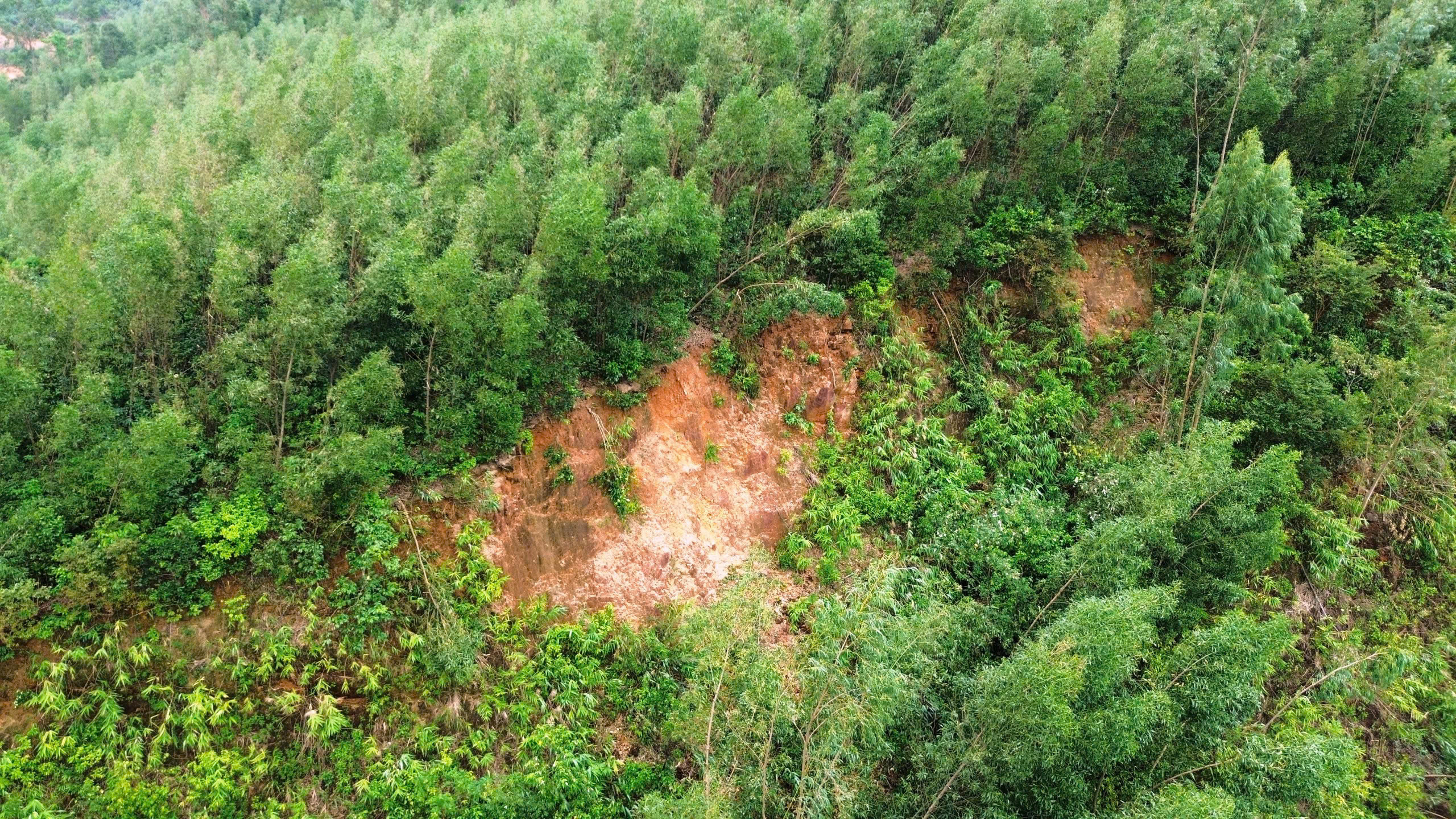 Phát hiện vết nứt dài trên núi, di dời khẩn cấp 23 hộ dân ở Thừa Thiên - Huế