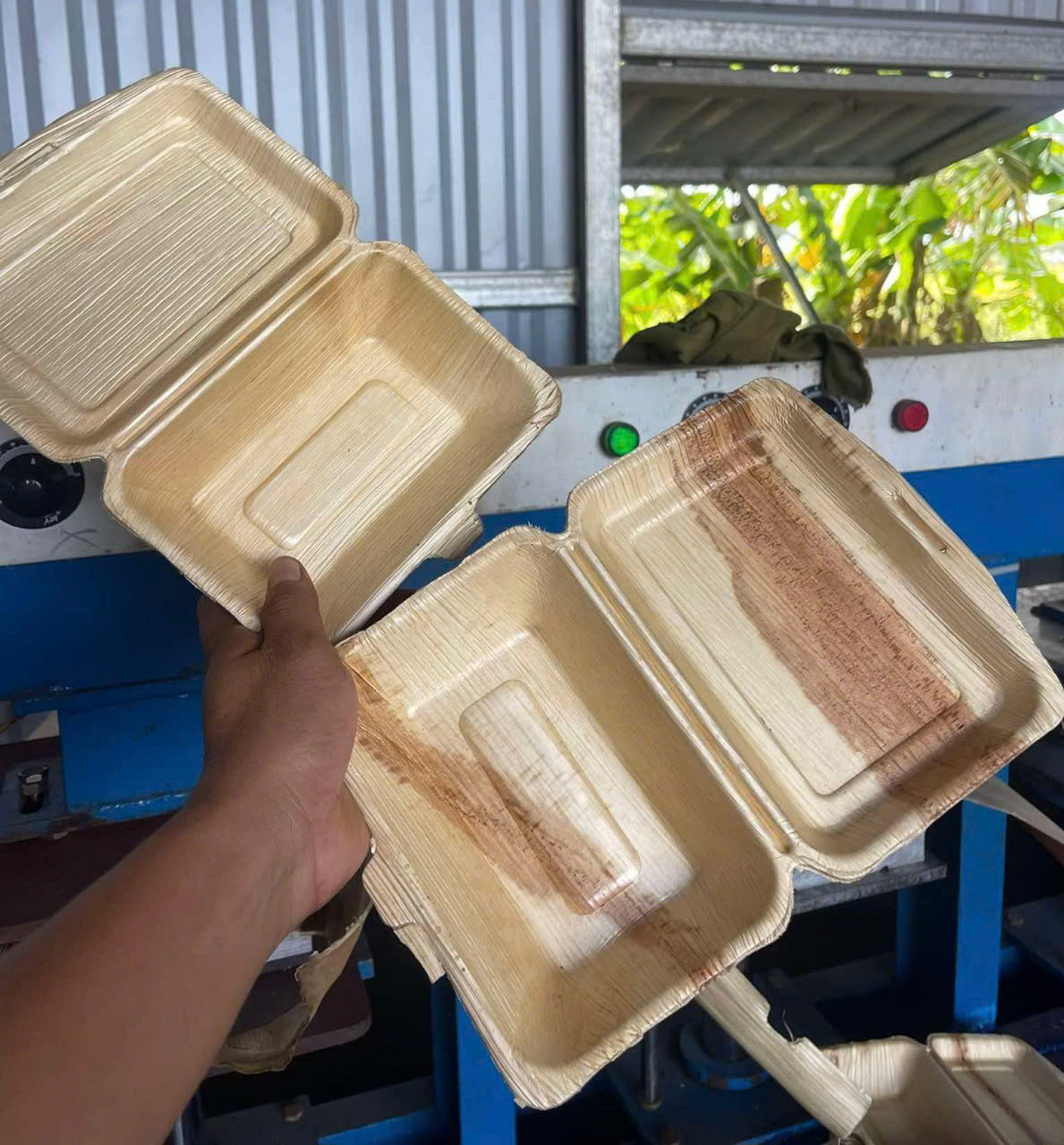 'Mục sở thị' quy trình biến mo cau thành hộp xốp đựng đồ ăn 