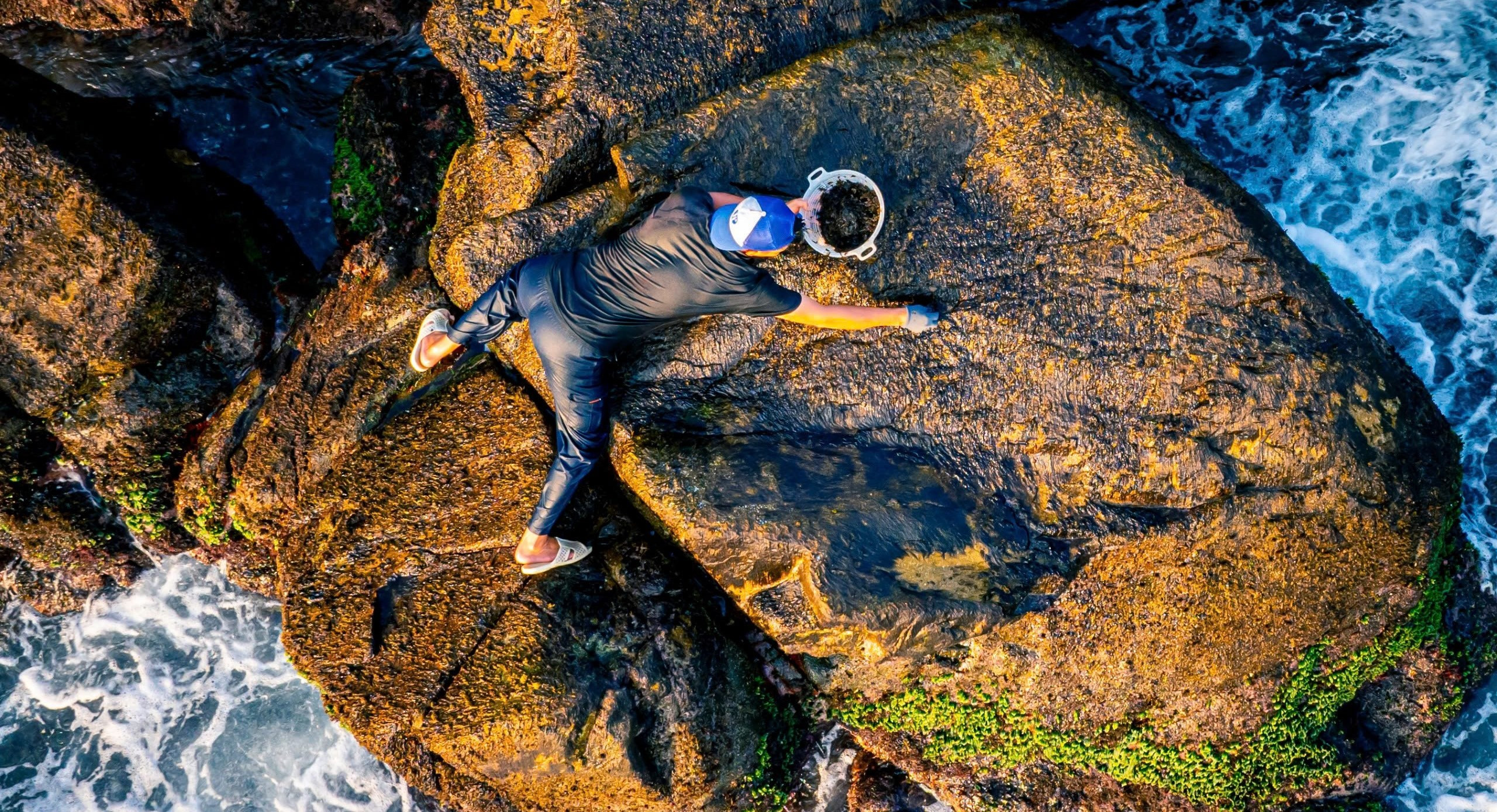 Nguy hiểm nghề 'bám đá ăn rong' tại Bình Định