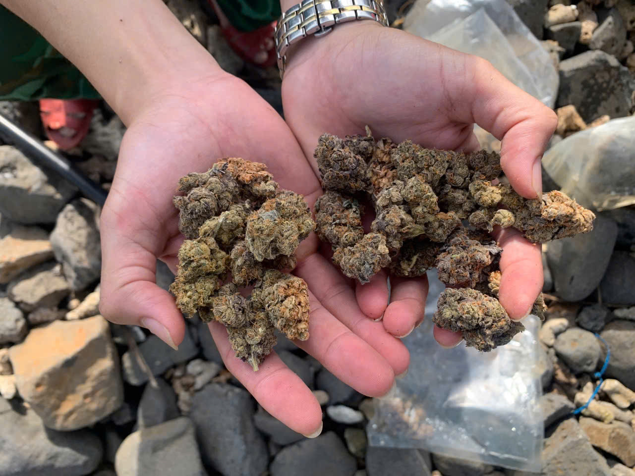 17 túi nylon chứa thảo mộc khô nghi ma túy trôi dạt vào bờ biển Quảng Ngãi