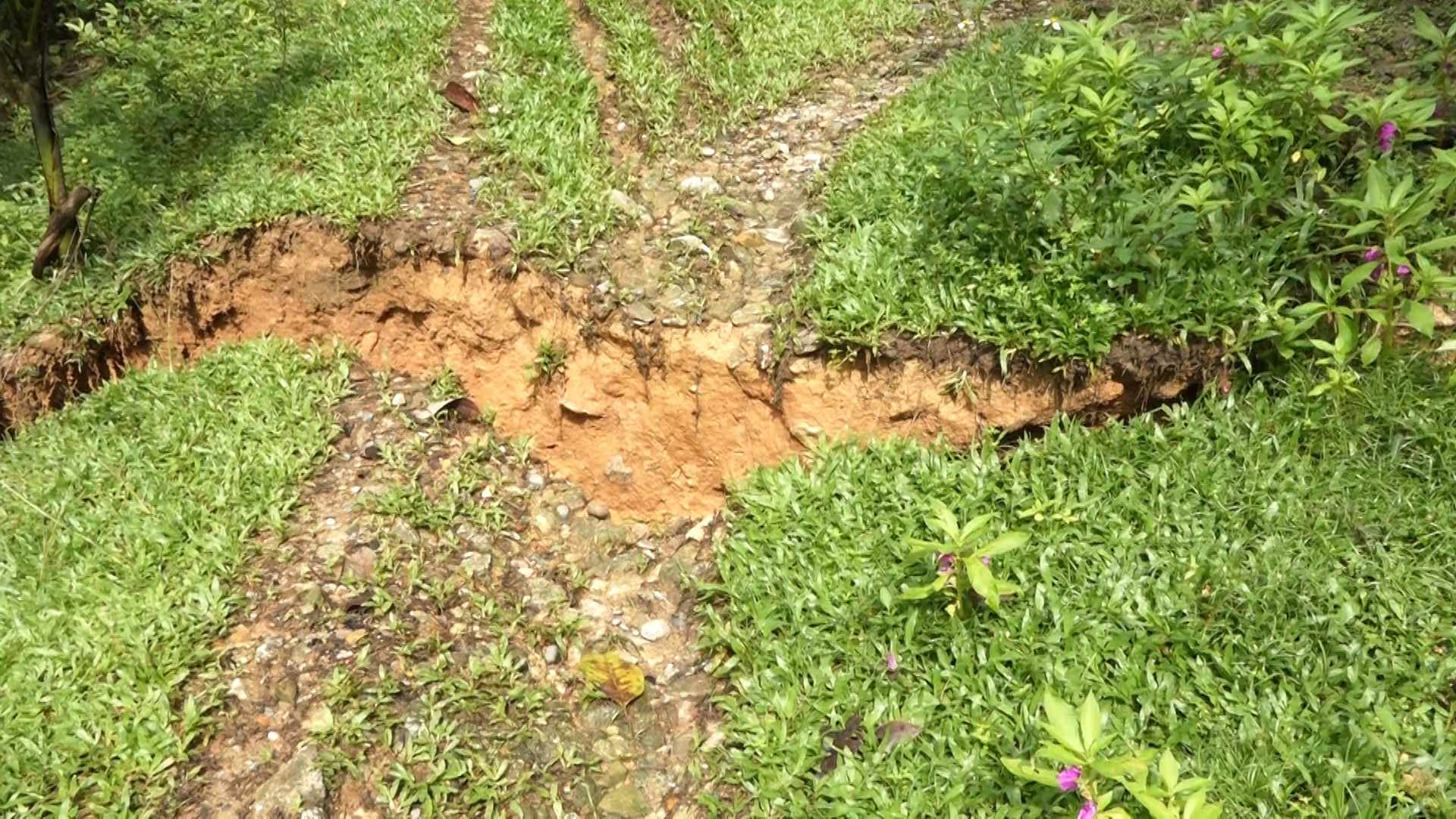 Xuất hiện loạt vết nứt, di dời khẩn cấp cả chục hộ dân ở miền núi của Quảng Nam