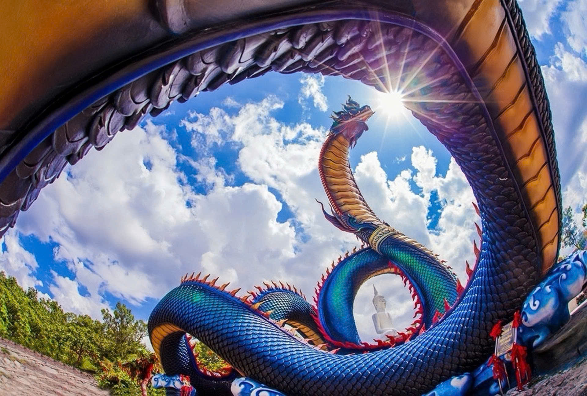 Rắn thần Naga 5 đầu: Biểu tượng linh vật Ất Tỵ 2025 của Bình Định