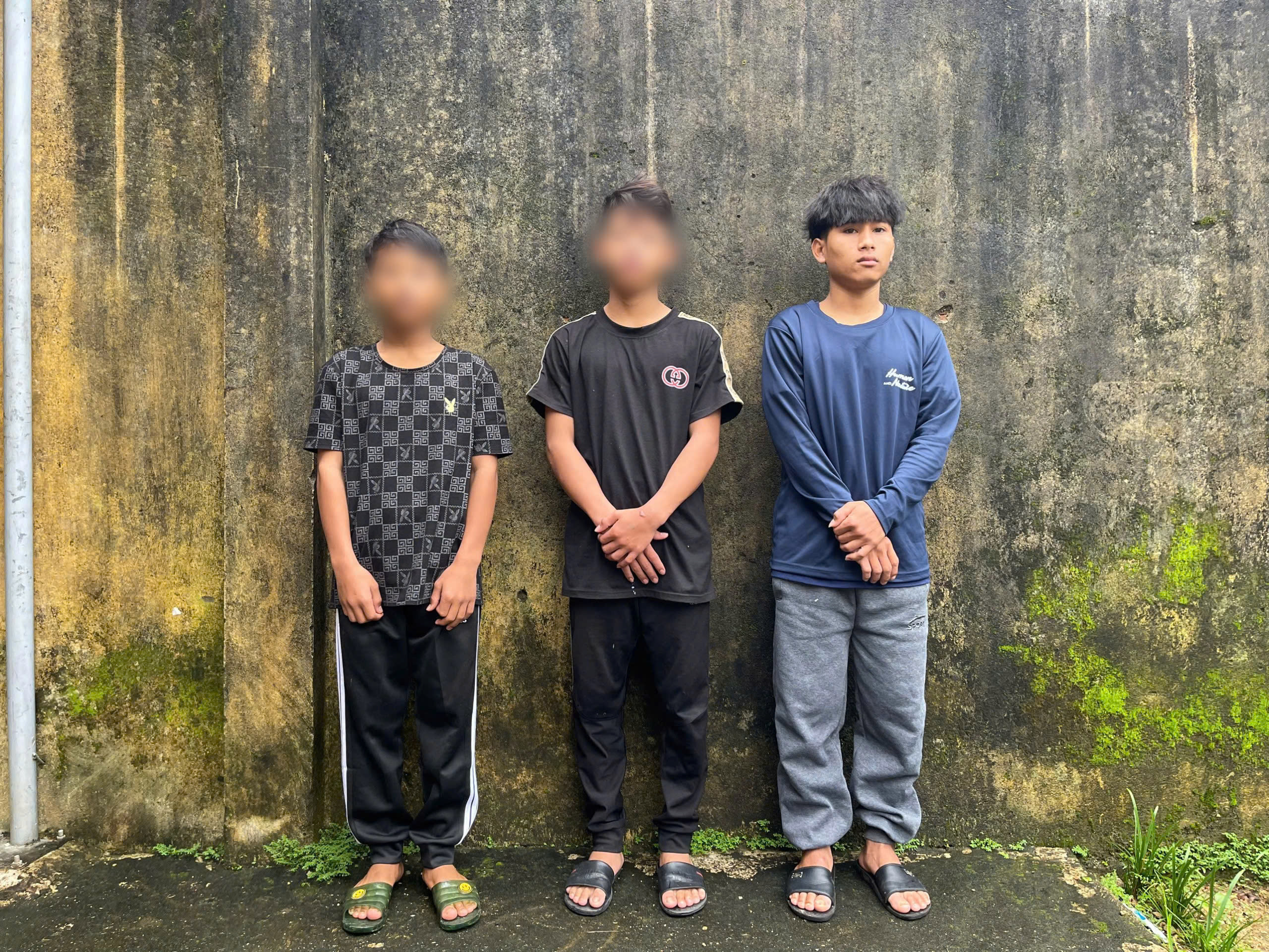 3 thanh thiếu niên trộm hơn 200 gốc sâm Ngọc Linh