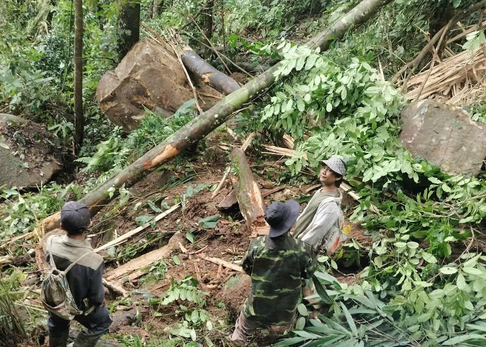 Nhiều tảng đá lớn lăn xuống làng Tu Hon, Quảng Nam công bố tình huống khẩn cấp