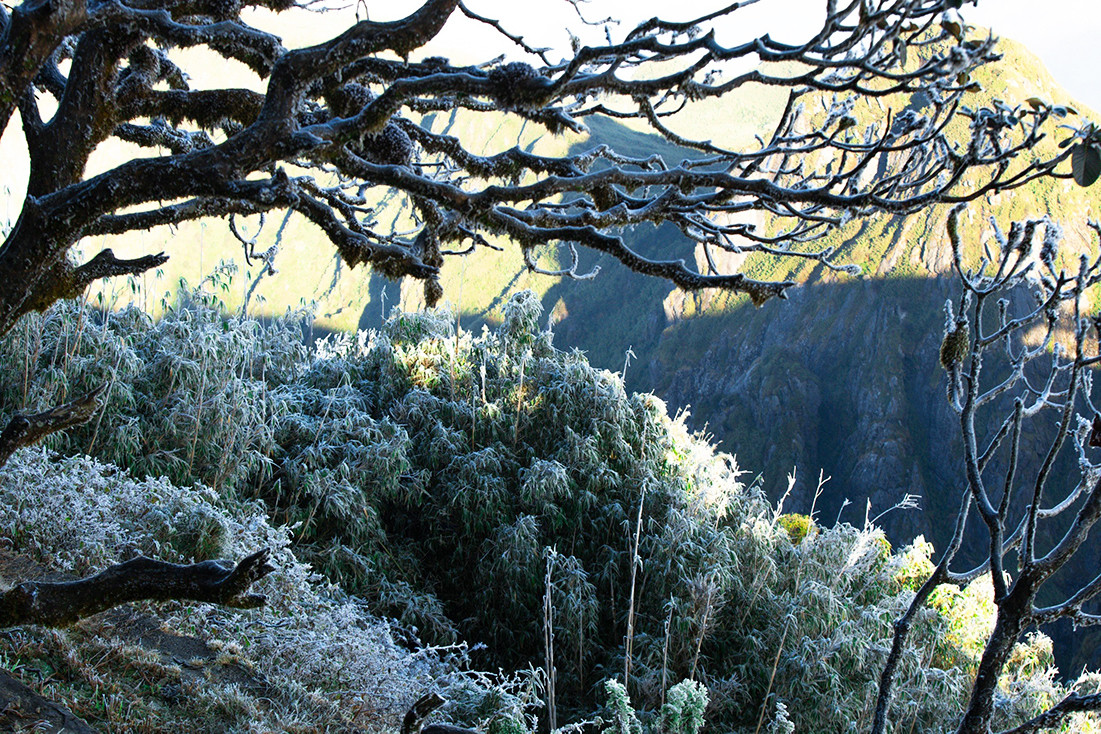 Dự báo thời tiết ngày 12/1: Giá rét bao trùm miền Bắc, khả năng xảy ra băng giá