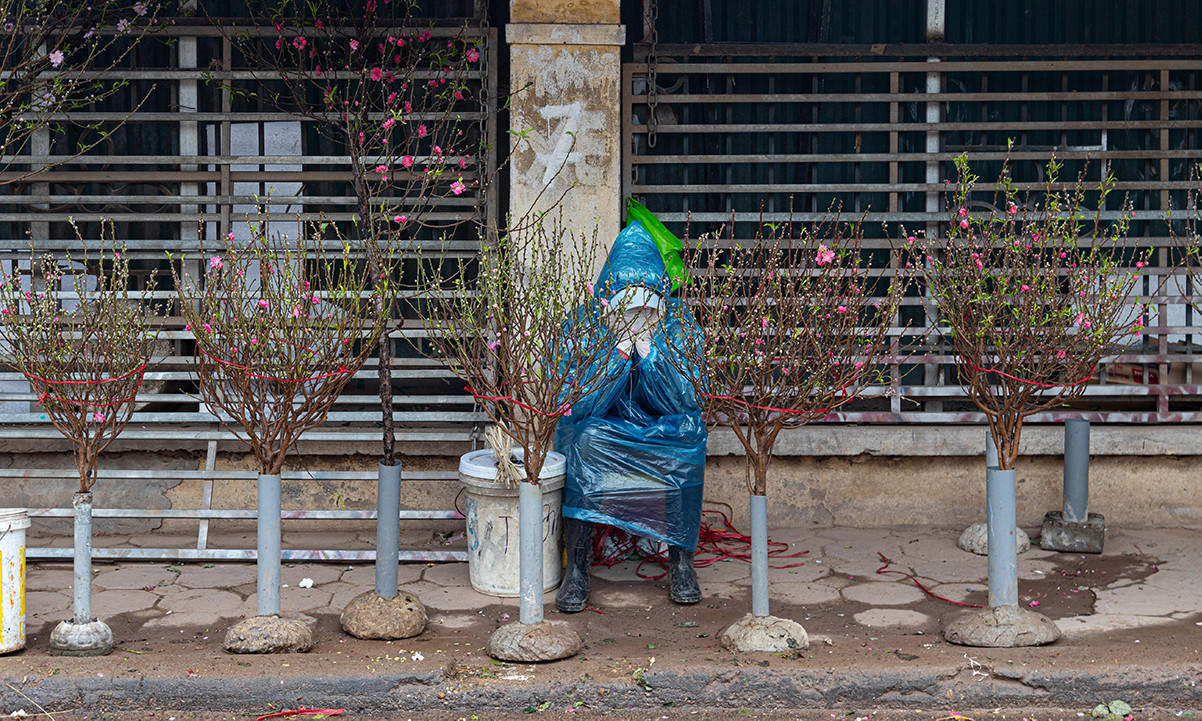 Bắc Bộ đón không khí lạnh mạnh dịp Tết Nguyên đán và dự báo thời tiết 10 ngày
