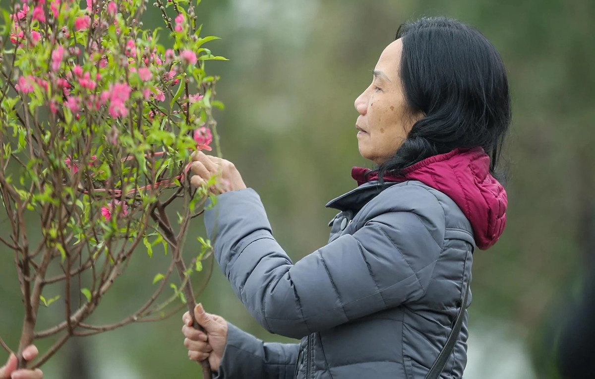 Dự báo thời tiết ngày 20/1: Miền Bắc nắng hanh, cao nhất có nơi trên 24°C
