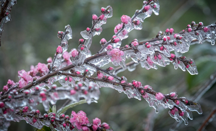 Bắc Bộ đón không khí lạnh mạnh những ngày cận Tết Nguyên đán