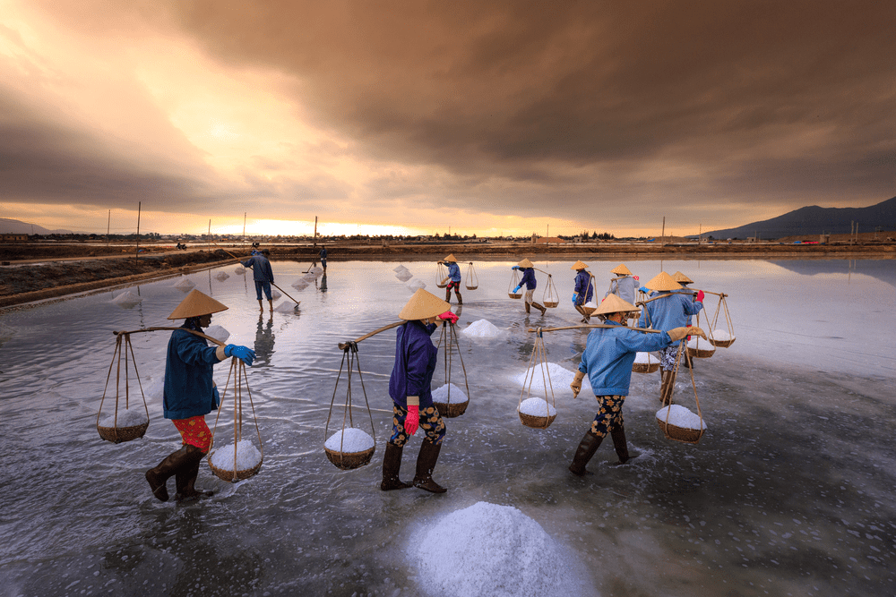 Tỉnh nào là thủ phủ muối của Việt Nam?