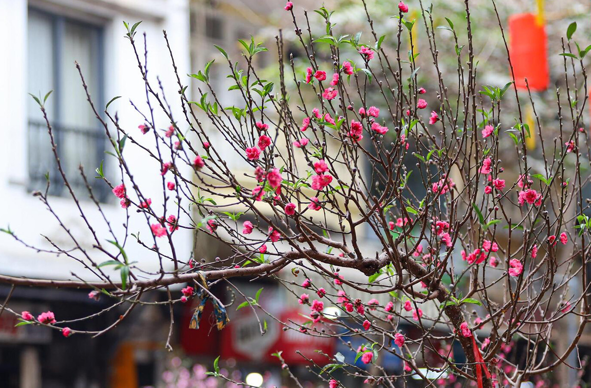 Dự báo thời tiết cả nước từ đêm 28 đến mùng 5 Tết Nguyên đán 