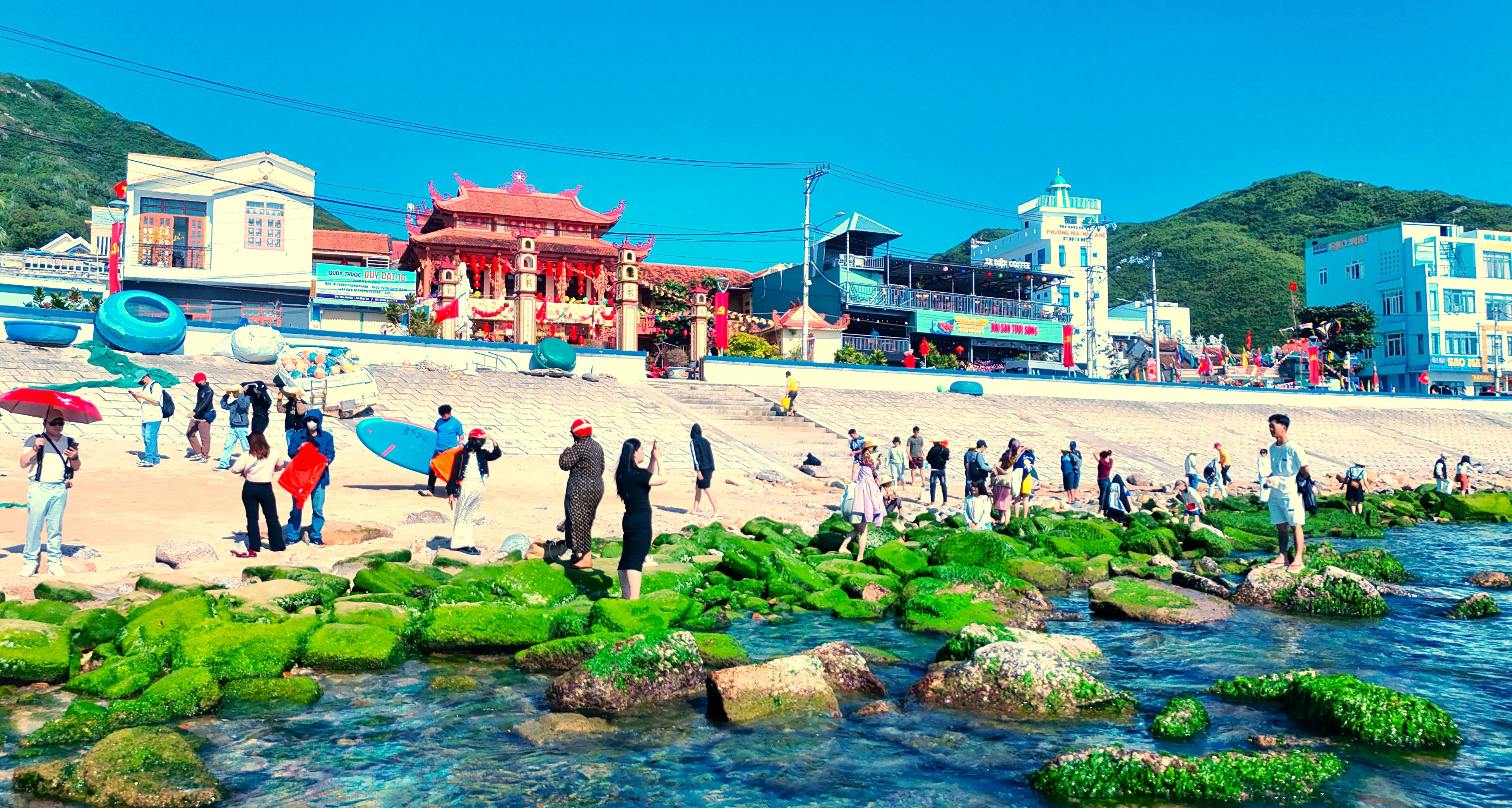 Nắng ấm, rêu xanh bung 'lộc' ở làng chài Quy Nhơn, giới trẻ đổ xô đến check-in