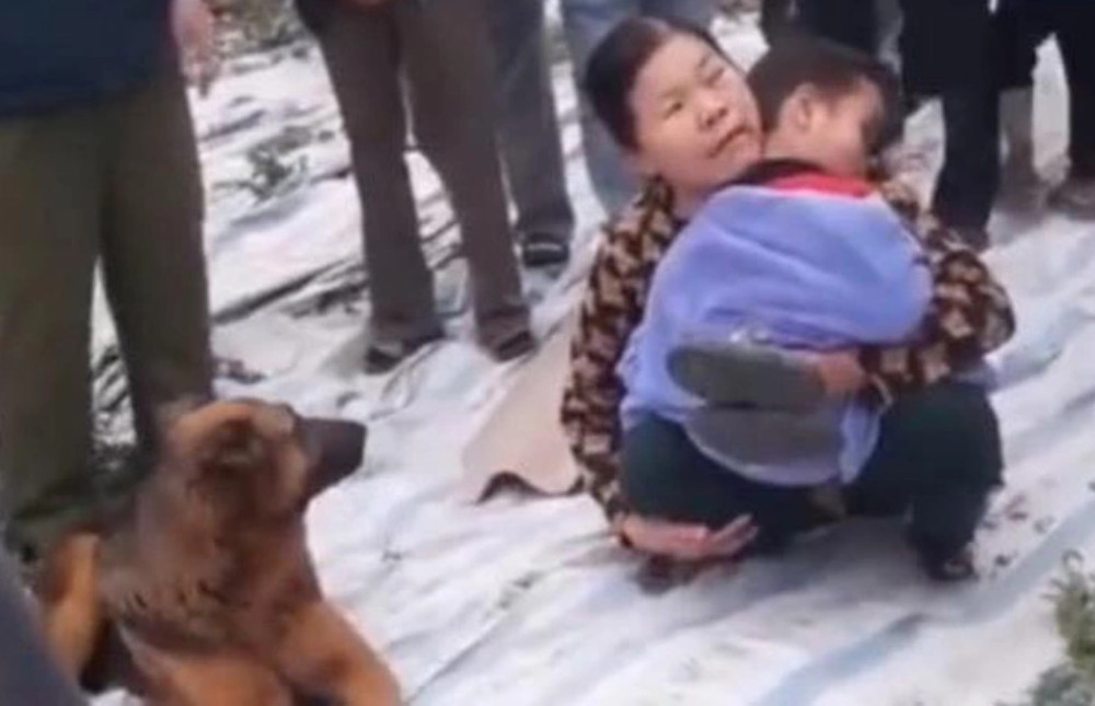 Bé trai đi lạc ở bờ sông, được chú chó trung thành bảo vệ suốt đêm