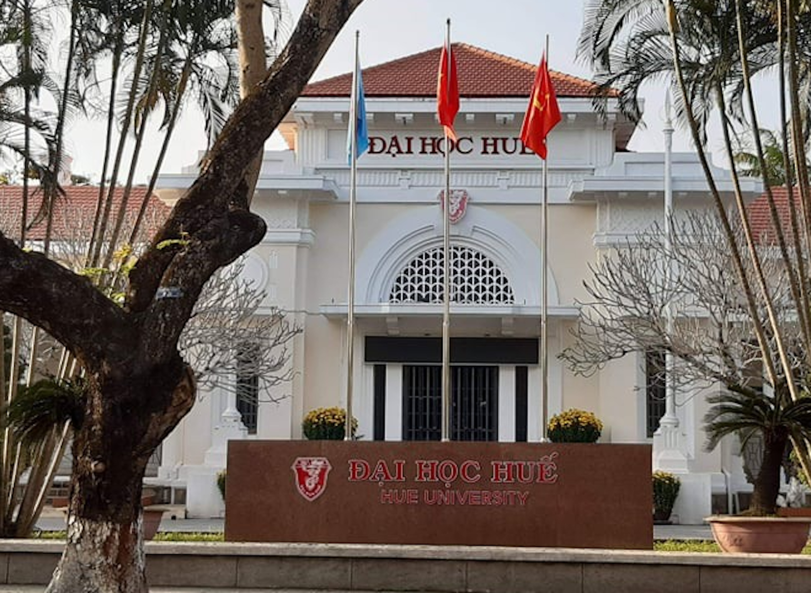 Sau khi giám đốc bị bắt, Đại học Huế hoạt động ra sao?