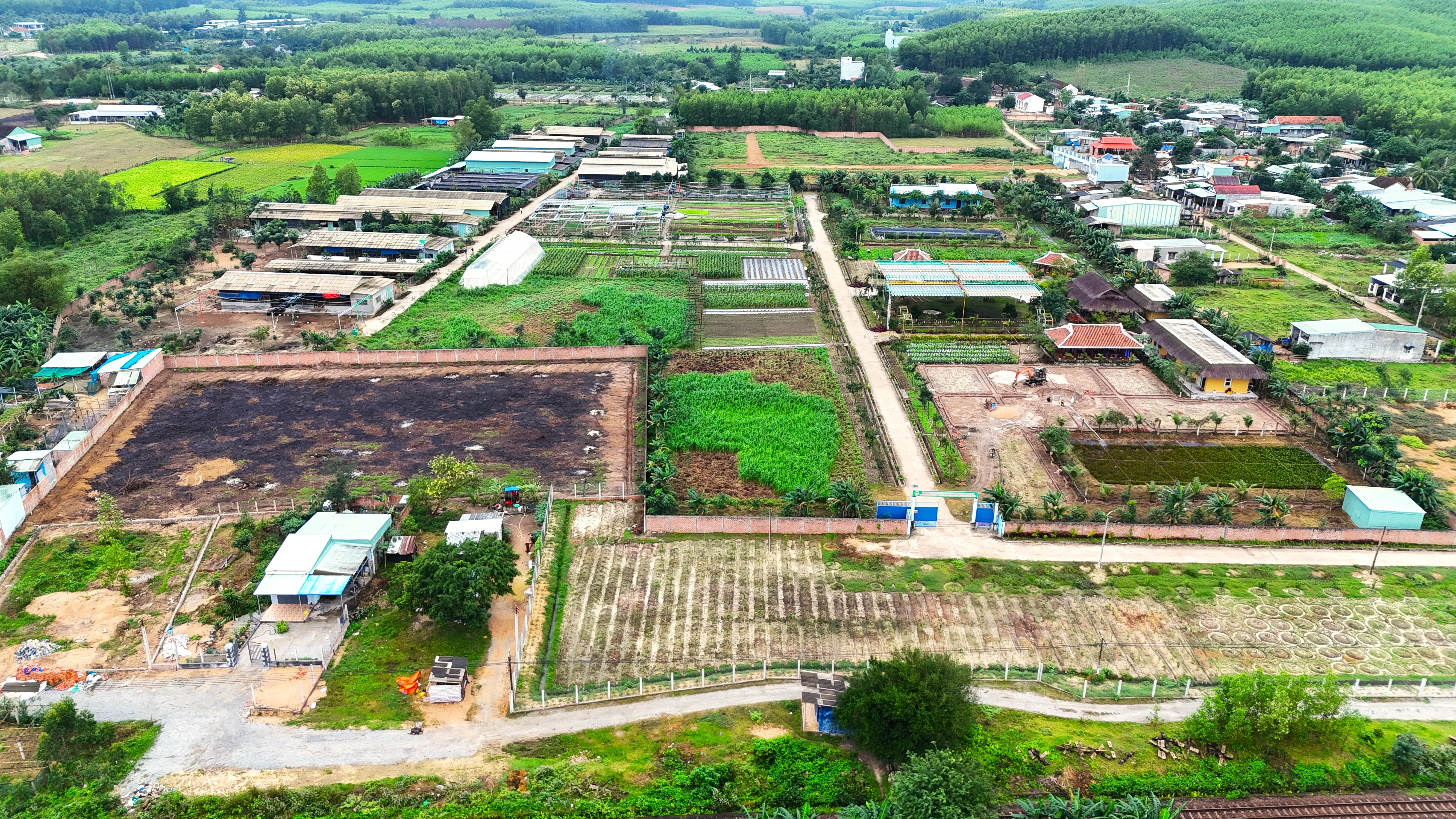 Cơ quan chức năng chỉ ra nhiều sai phạm tại dự án trồng rau sạch ở Bình Định