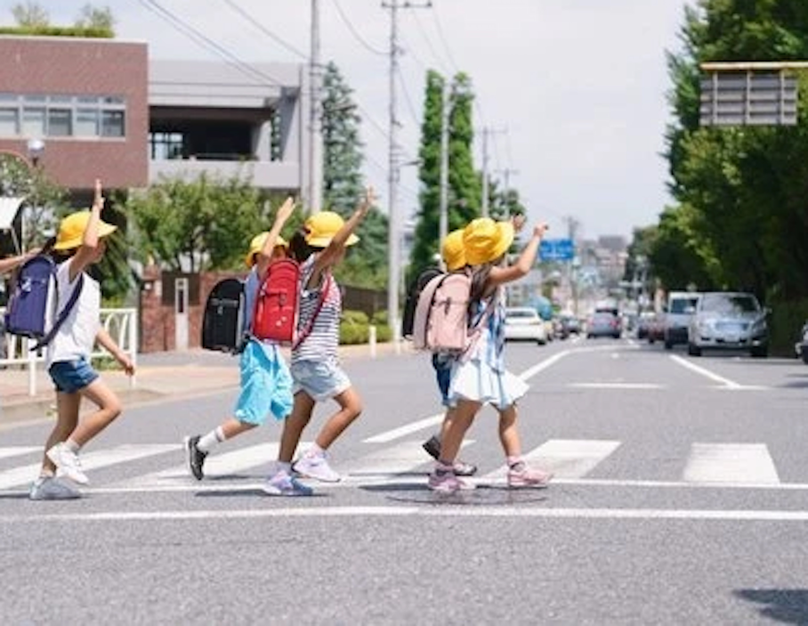 Có bắt buộc mọi trường hợp đi bộ sang đường phải vẫy tay báo hiệu?