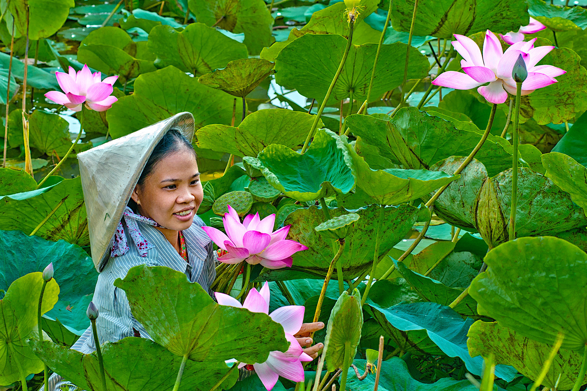 Đồng Tháp được hợp nhất từ những tỉnh nào?