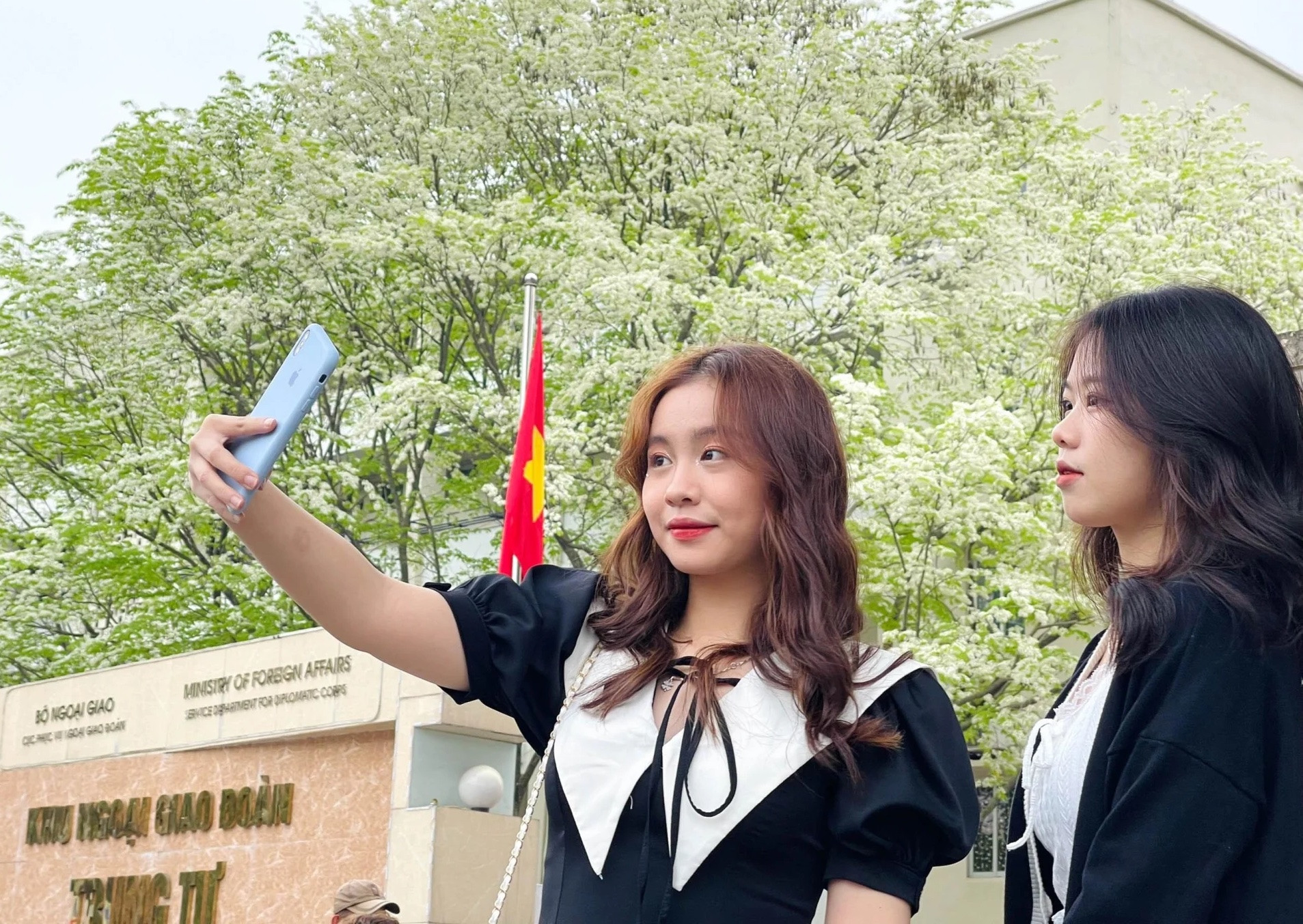 Những địa điểm 'check-in' hoa sưa 'hot' nhất Hà Nội