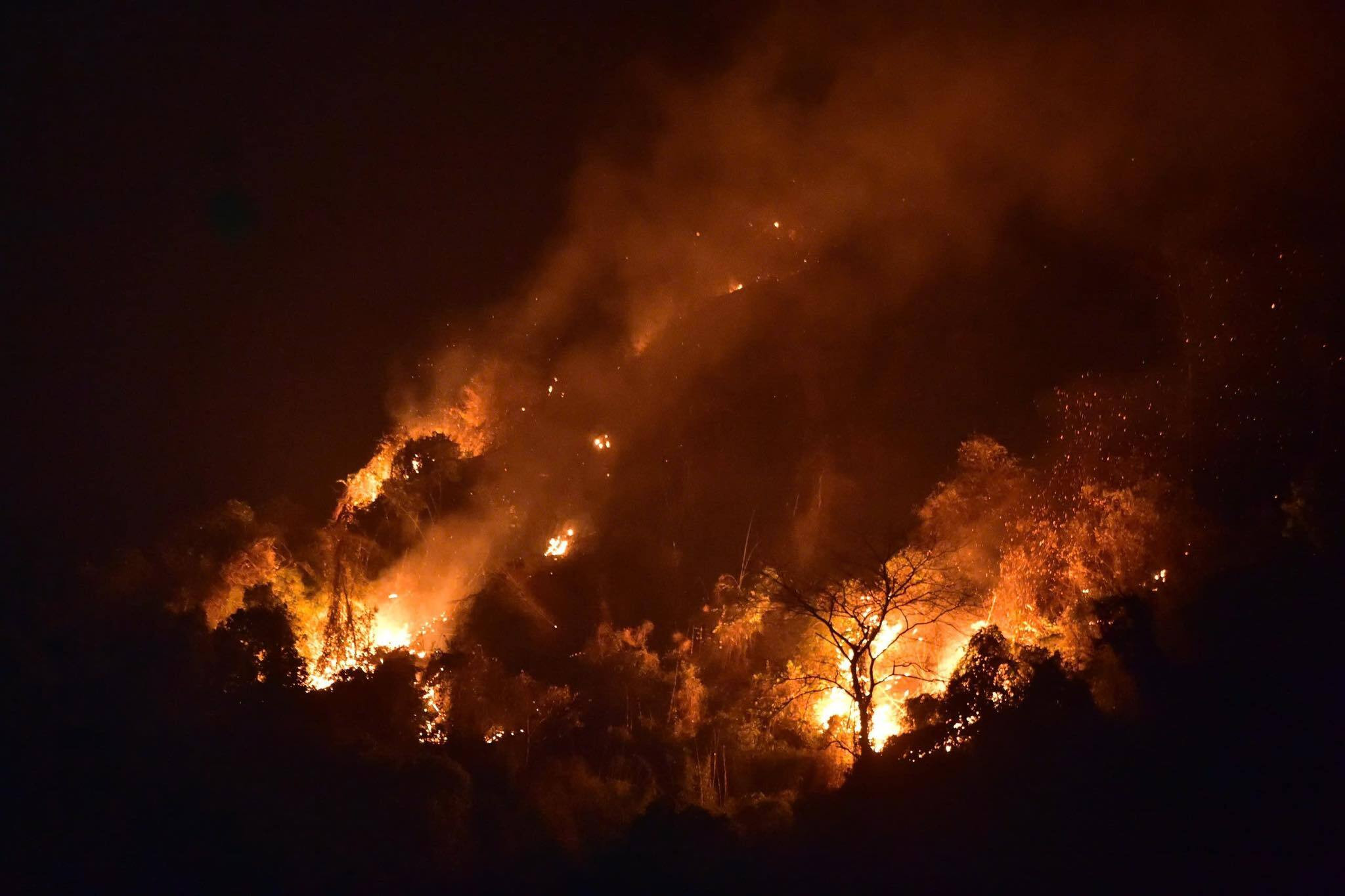 Một người tử vong khi tham gia dập tắt đám cháy rừng ở Tuyên Quang