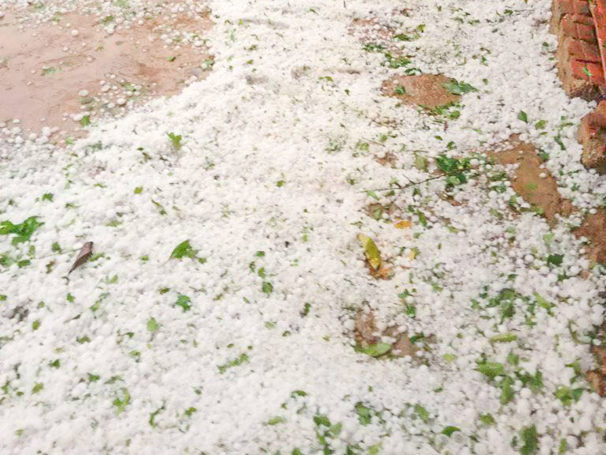 Mưa đá trắng xoá trút xuống Điện Biên và Sơn La