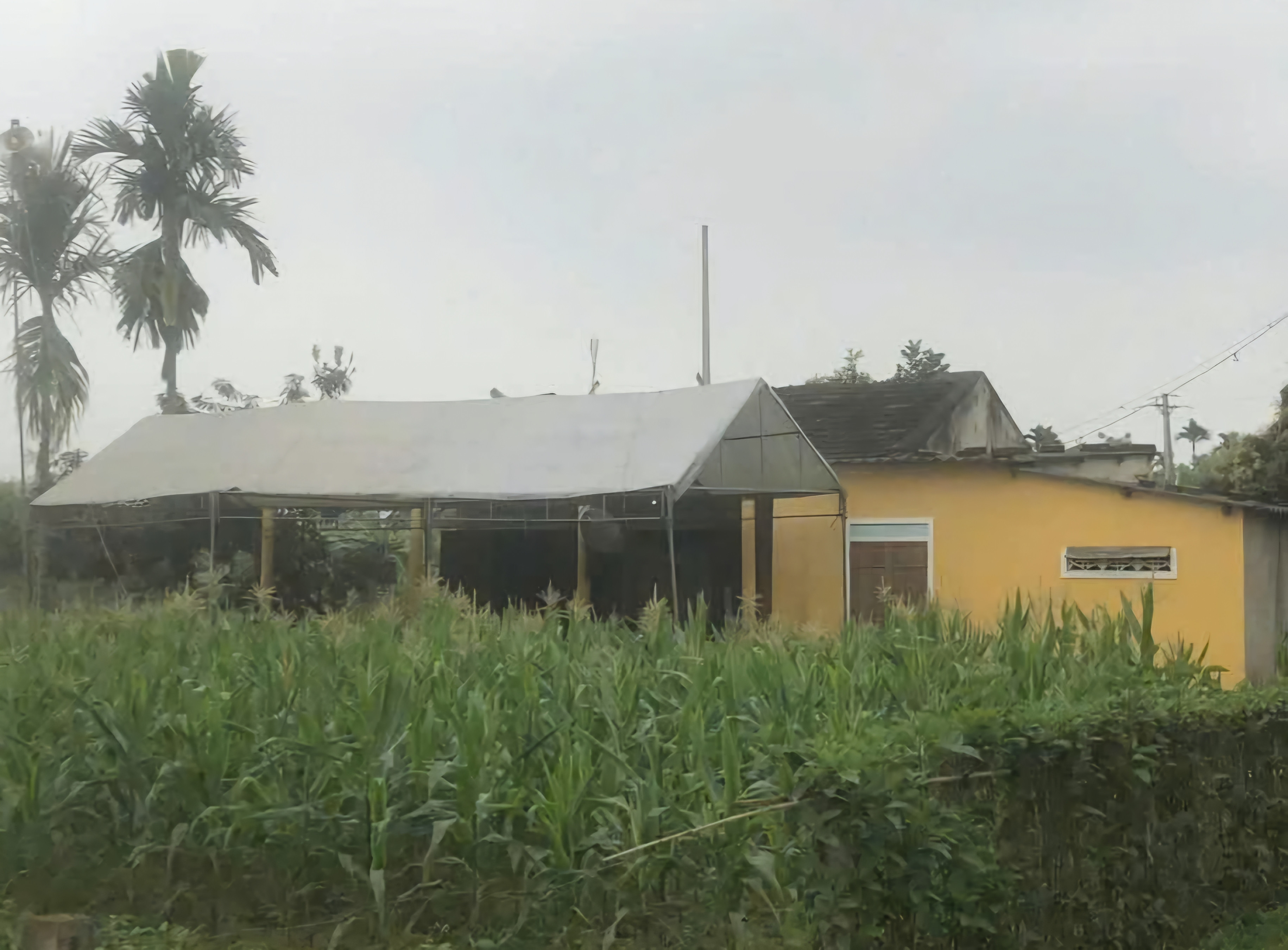 Phát hiện nữ sinh lớp 7 tử vong trong vườn nhà