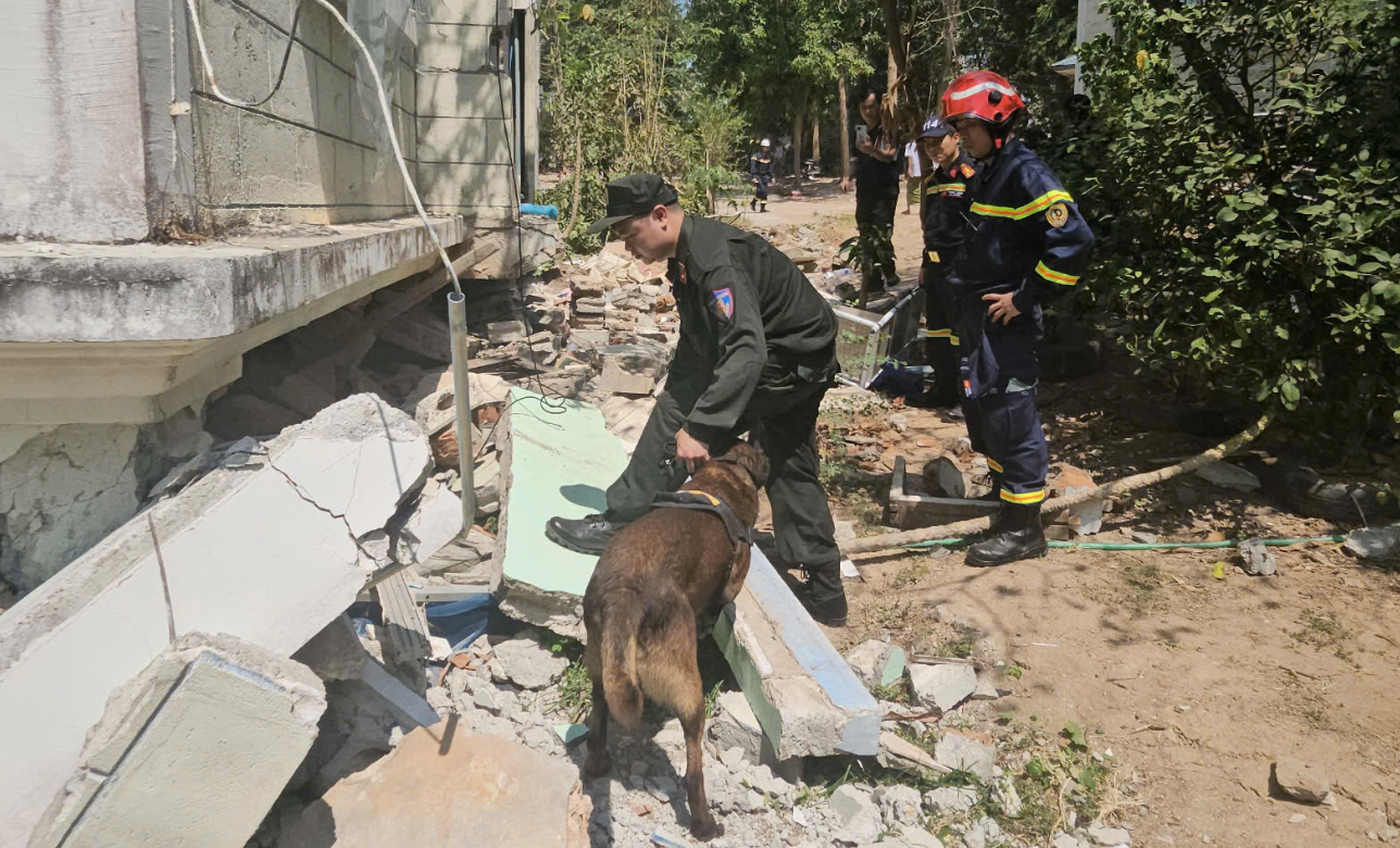 Công an Việt Nam dùng chó nghiệp vụ tìm 2 người mắc kẹt sau động đất ở Myanmar