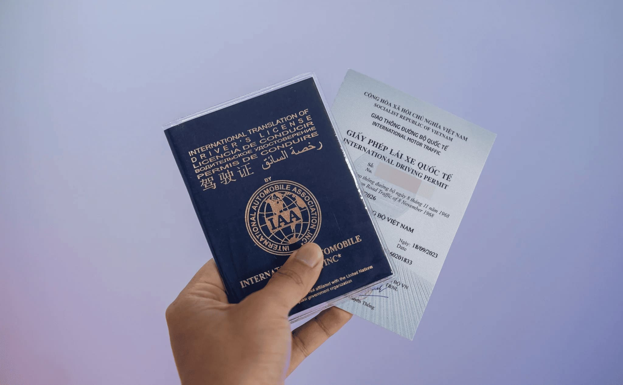Vì sao tạm dừng cấp giấy phép lái xe quốc tế bằng hình thức online?