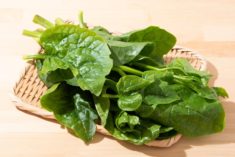 Rau mồng tơi tốt nhưng những người này không nên ăn