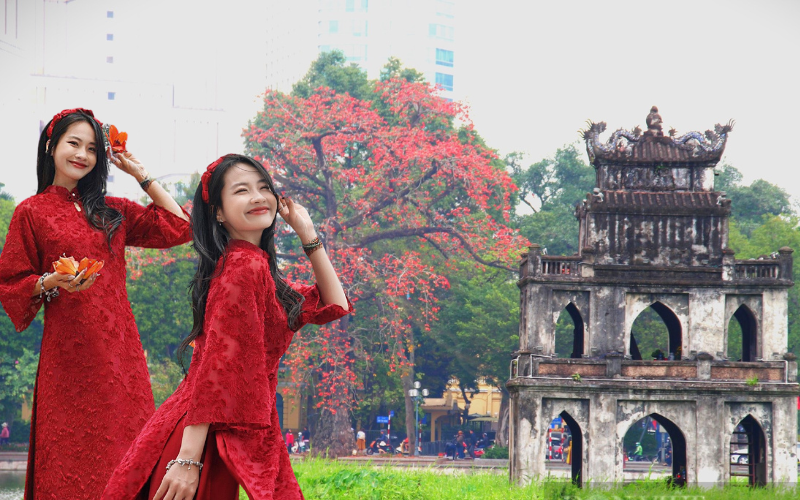 Những địa điểm chụp ảnh hoa gạo đẹp ở Hà Nội