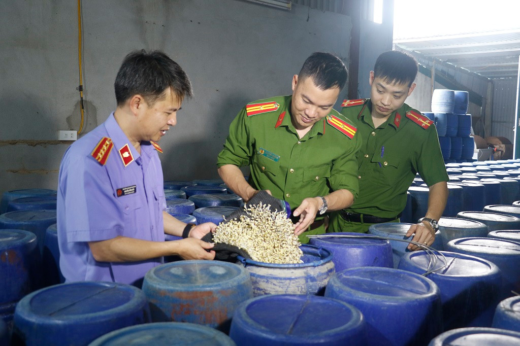 Vạch trần thủ đoạn của 4 kẻ sản xuất 3.500 tấn giá đỗ ngâm chất cấm ở Nghệ An