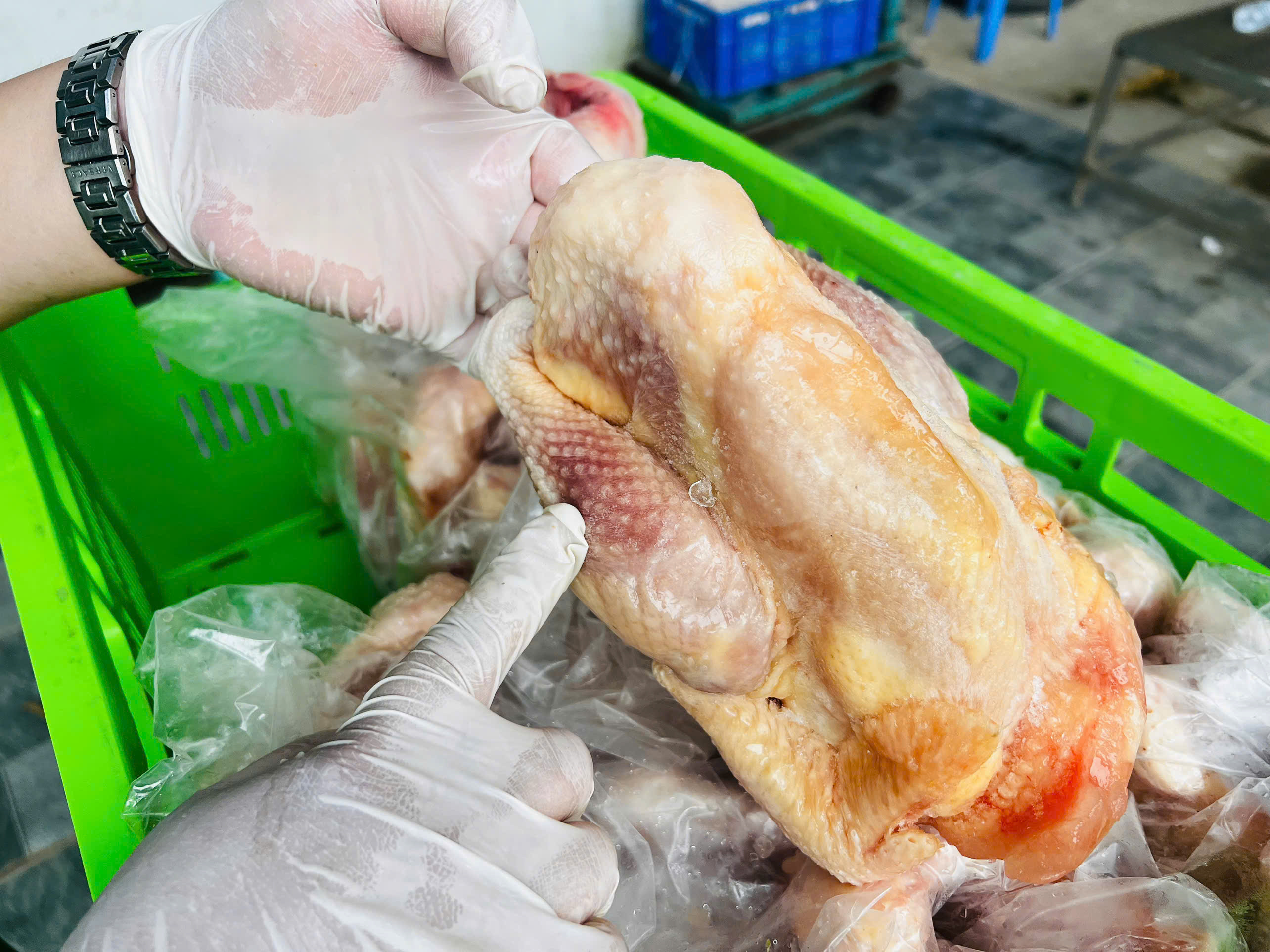 Công an Hà Nội phát hiện 20 tấn gà 'bẩn' sắp tuồn ra chợ, nhà hàng