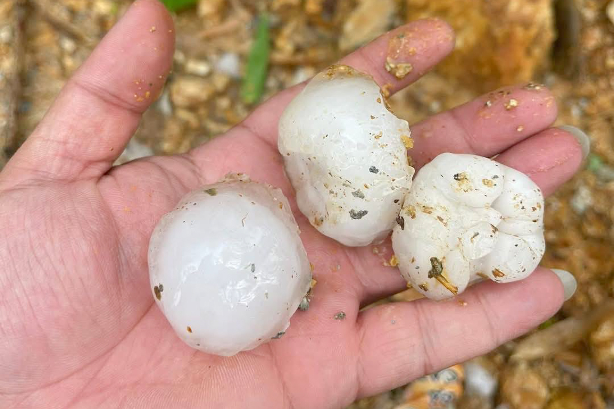 Mưa đá to bằng quả trứng ào ào trút xuống Hà Giang