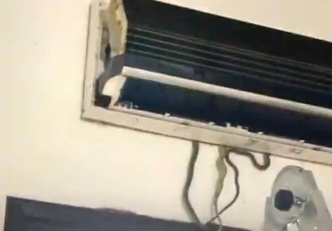 Mở nắp điều hòa, cả gia đình ở Quảng Nam kinh hãi khi thấy 7 con rắn