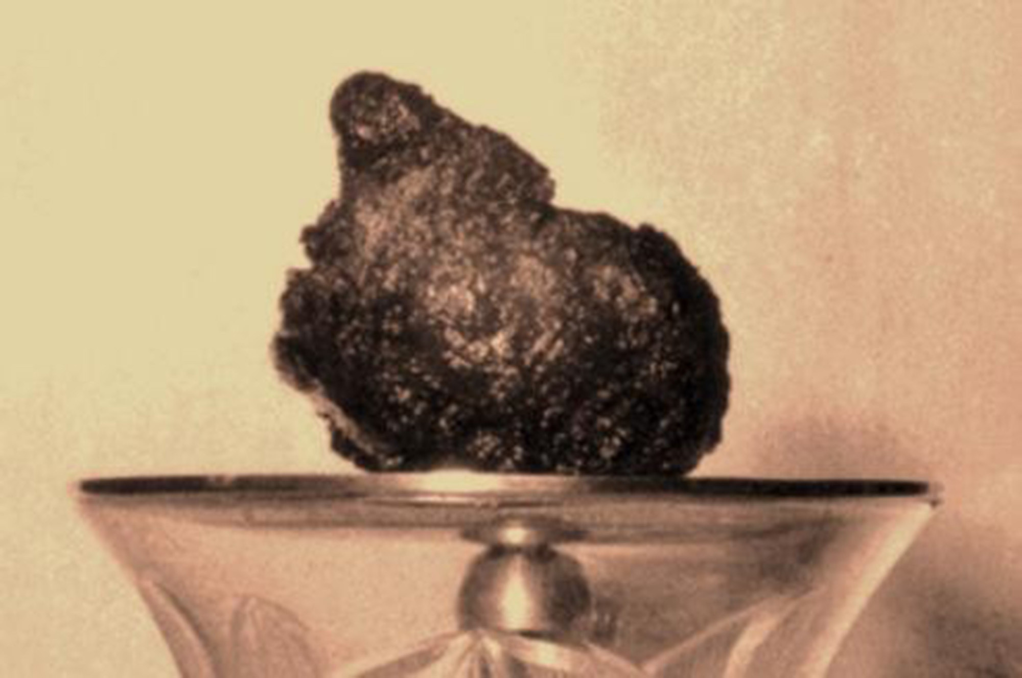 Người dân được chiêm bái Xá lợi Trái tim Bồ tát Thích Quảng Đức từ chiều 3/5