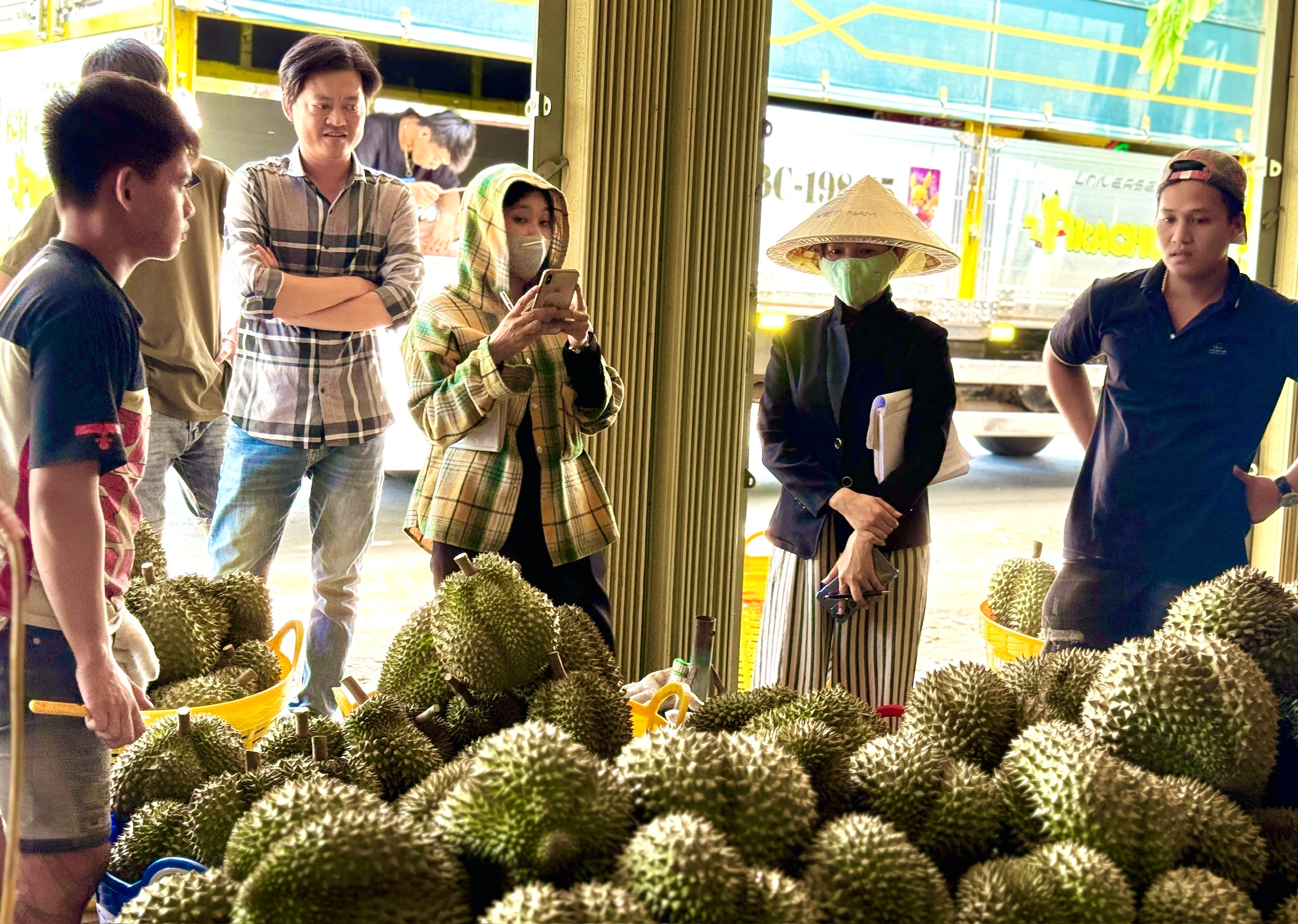 Chuyên gia 'vạch trần' cách cadimi âm thầm 'đầu độc' ngành sầu riêng