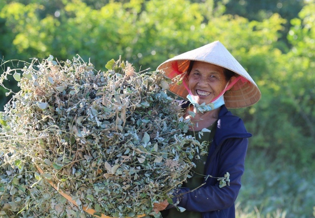 Dự báo thời tiết ngày 19/5: Mưa lớn giảm dần ở miền Bắc, miền Trung có nắng nóng