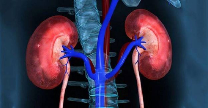Dấu hiệu cảnh báo tổn thương thận cấp không nên bỏ qua 