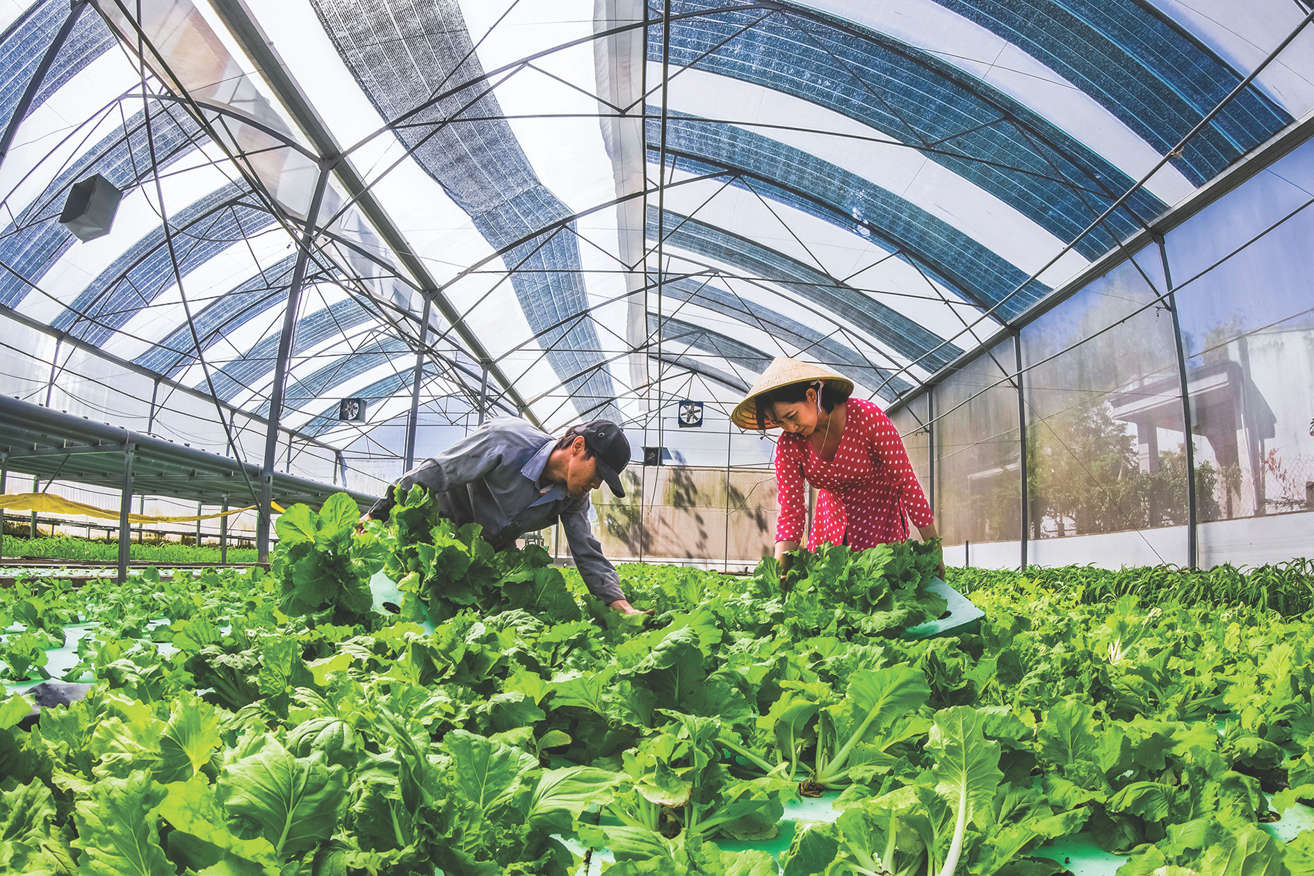 Nông thôn mới Tây Ninh: Đổi thay từng ngày từ nội lực người dân