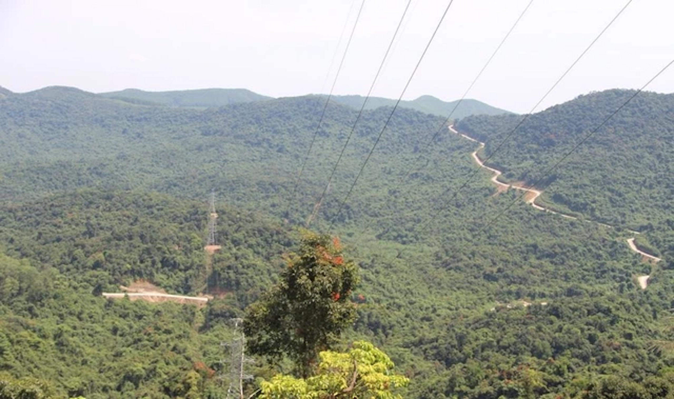 Đi theo Google Maps, nữ sinh lạc vào rừng sâu