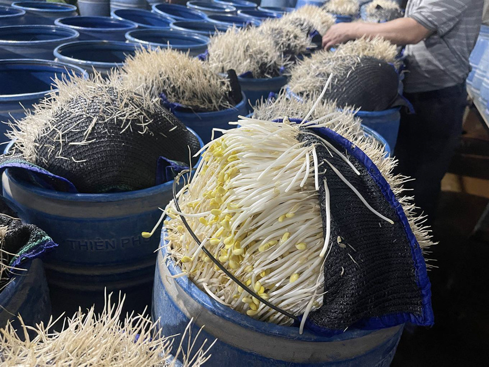 Khởi tố 3 bị can liên quan vụ 3.500 tấn giá đỗ ngâm hóa chất độc hại