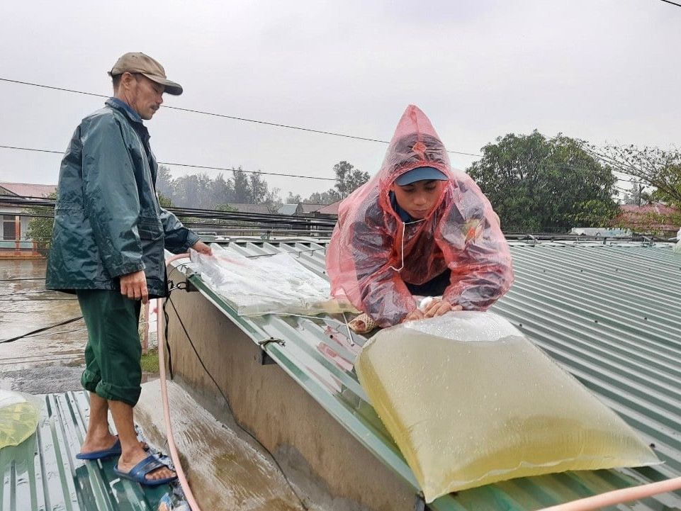 Áp thấp nhiệt đới khả năng mạnh thành bão, Thủ tướng yêu cầu chủ động ứng phó
