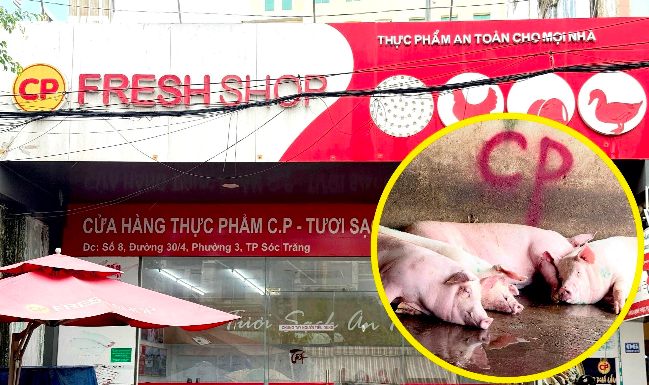 Diễn biến mới nhất vụ Công ty C.P. Việt Nam bị tố bán thịt heo bệnh