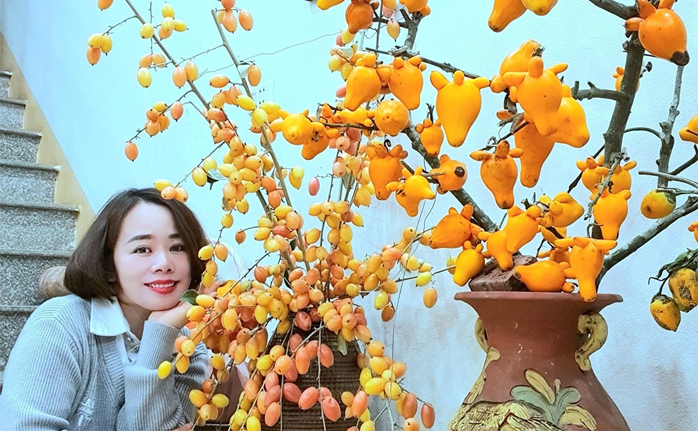 Mê mẩn những cành quả cắm bình độc đáo của cô giáo Phú Thọ