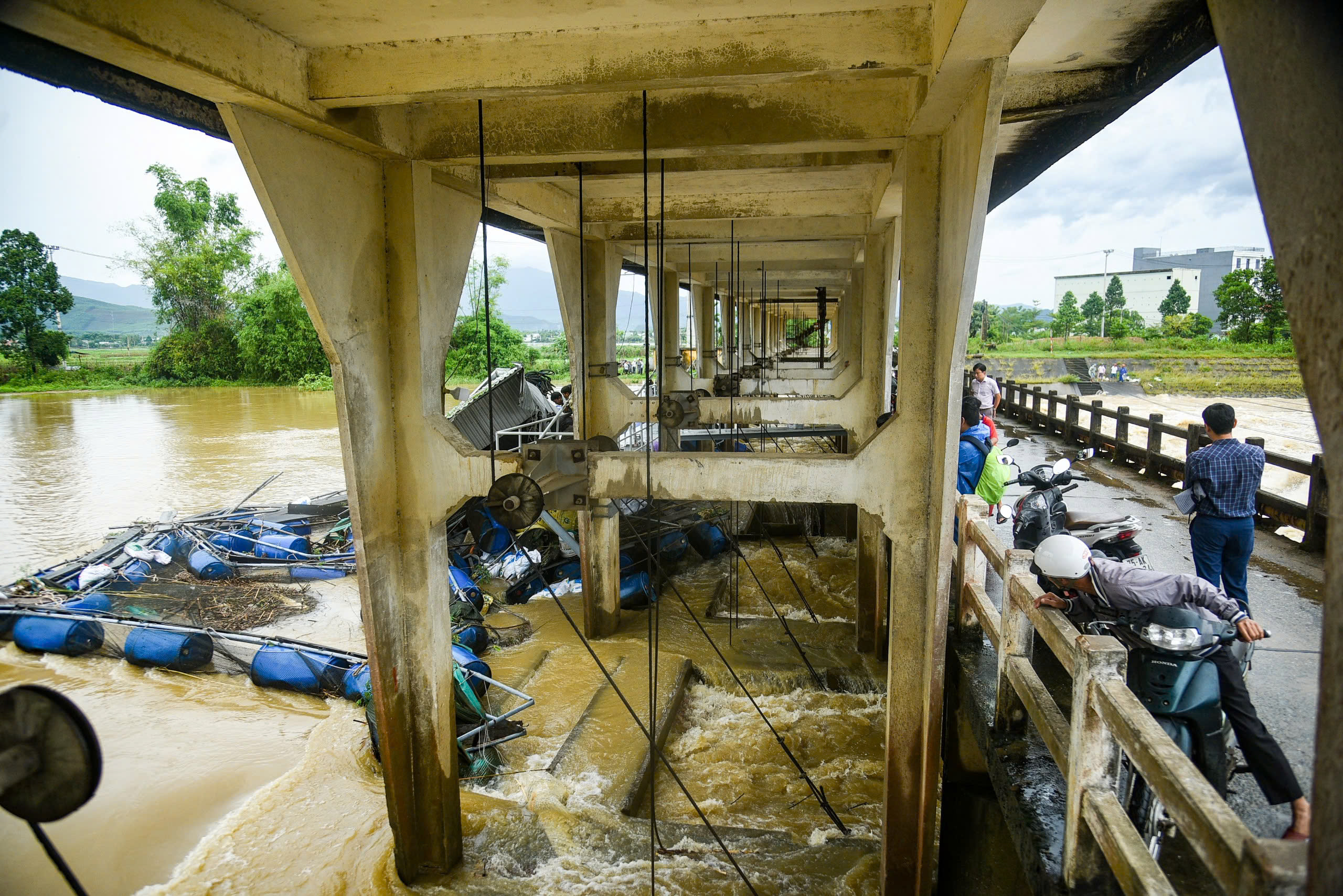 Lũ cuốn trôi bè nuôi cá hàng chục tấn, gây thiệt hại tiền tỷ