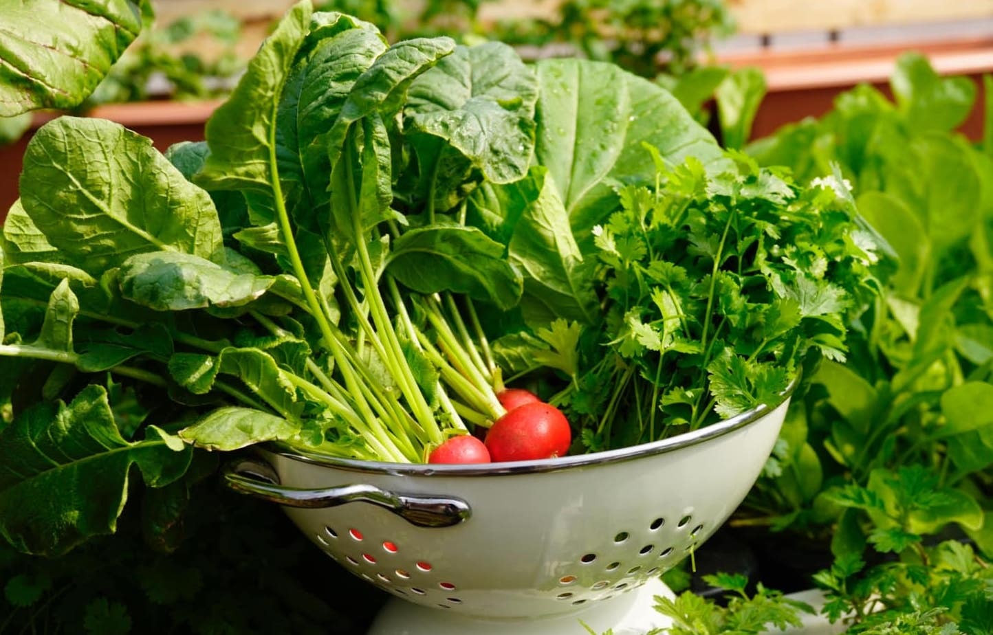 Chuyên gia vạch rõ ảo tưởng nhận biết rau có thuốc trừ sâu bằng mắt thường